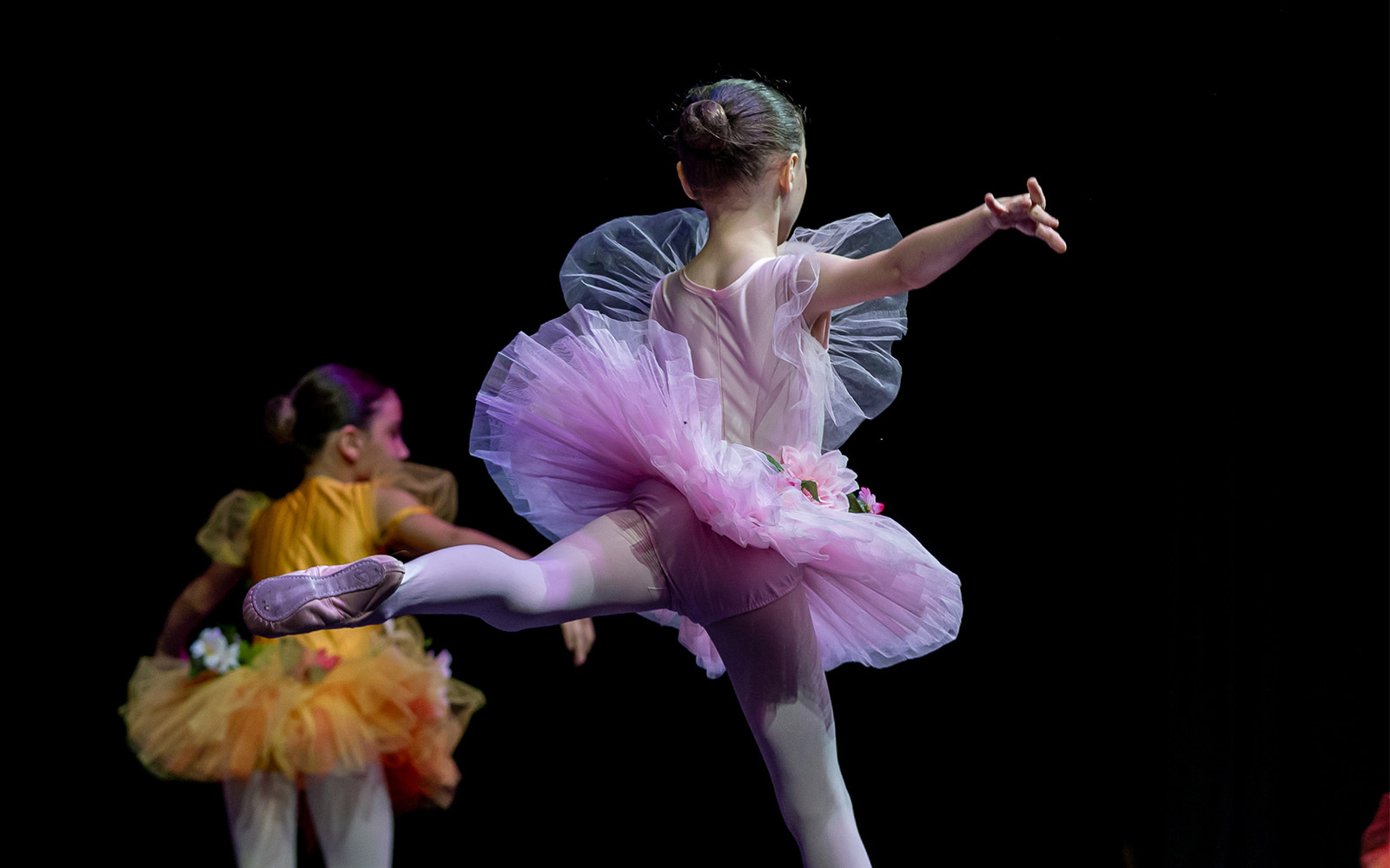 Danzamania, danza classica
