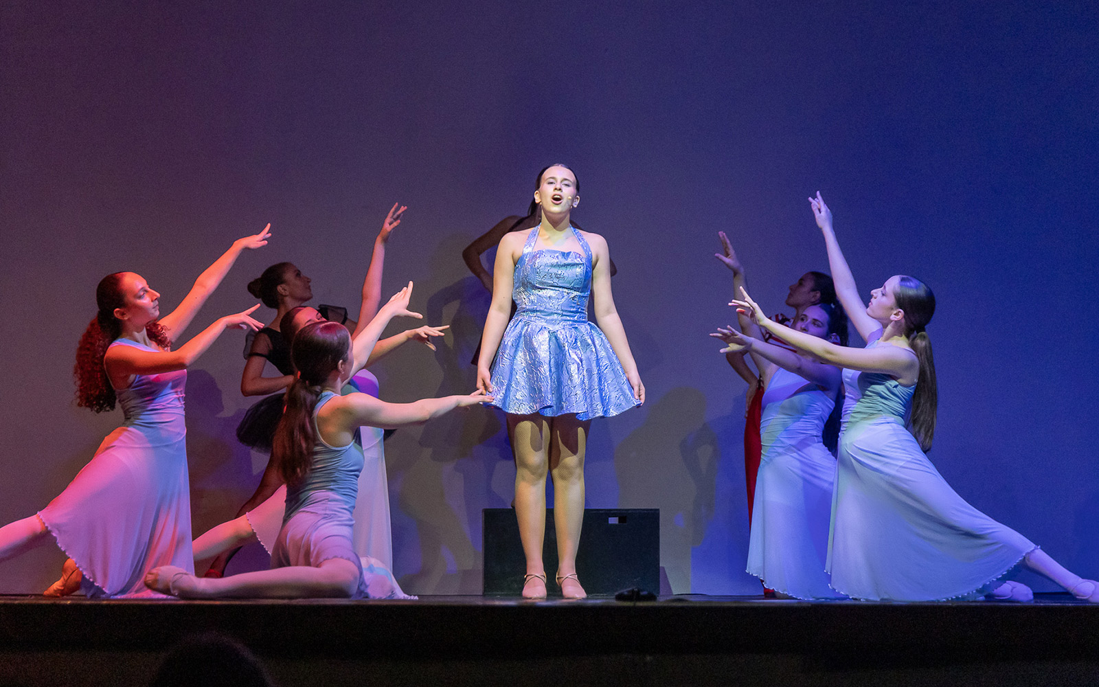 Danzamania, Musical